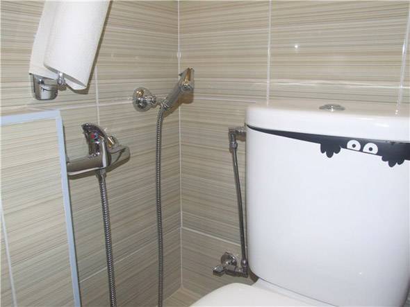 Гигиенический душ для унитаза: выбор, монтаж и правильная эксплуатация