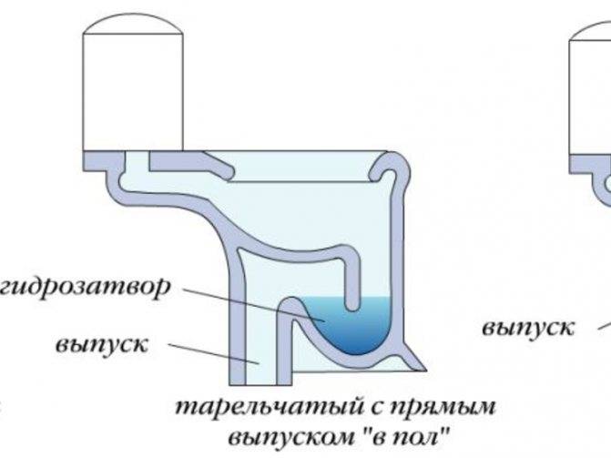 Срыв гидрозатвора и причины появления запаха из канализации