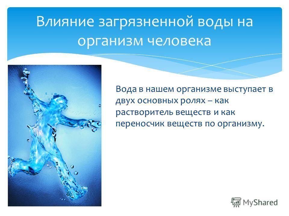 Вода в жизни человека и организме: функции, влияние | food and health