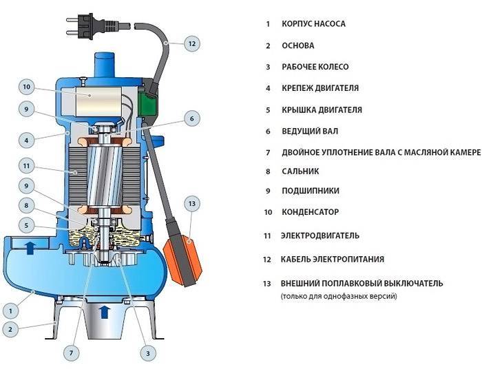 Устройство и принцип работы водяного насоса и помпы: типы оборудования, характеристики, эксплуатация