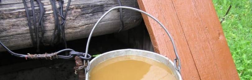 О чем предупреждает мутная вода в колодце и как устранить причины загрязнения