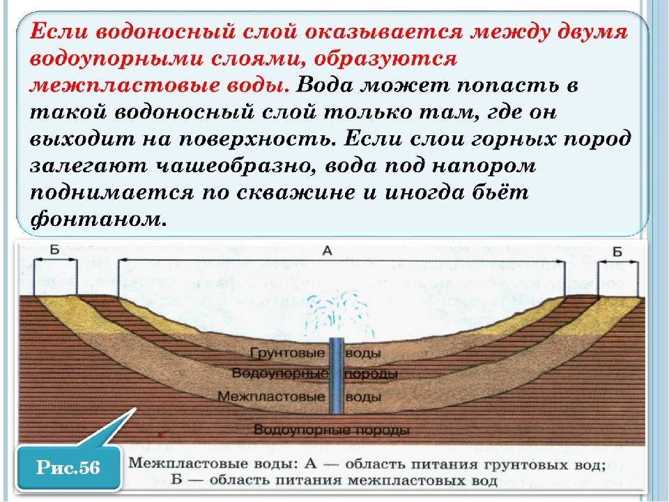 Грунтовые воды: что это и как определить уровень грунтовых вод, подземные воды, подпочвенные воды, фунтовые воды