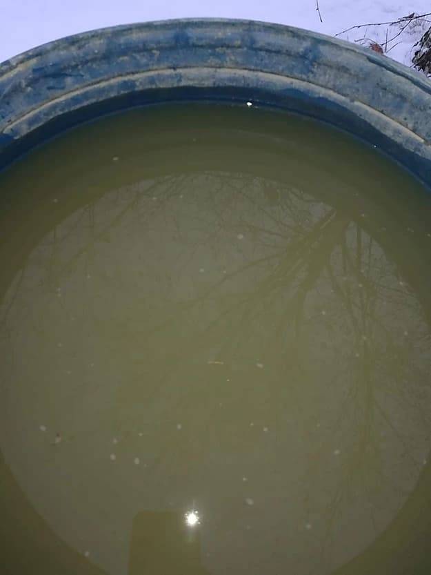 Вода из скважины имеет запах сероводорода – причины появления и эффективные способы очистки